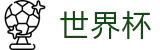FIFA 2026世界杯(中国)官方授权网站_网页版入口 · 线上买球软件